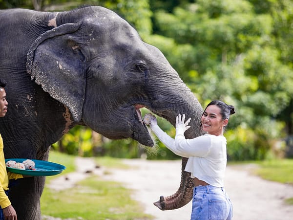 Pic - Rice Ball 2 - Bukit Elephant Park - Best Phuket Travel