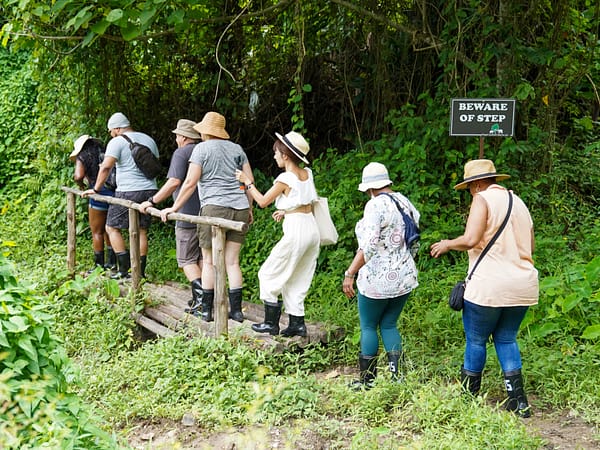 Pic - Walking 2 - Bukit Elephant Park - Best Phuket Travel