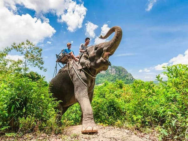 Pic - See Sea Sky - Rafting A (3) - Best Phuket Travel