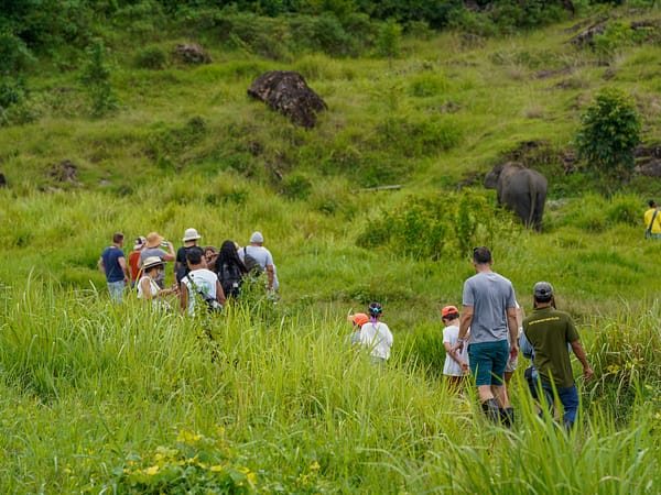 Pic - Walking - Bukit Elephant Park - Best Phuket Travel