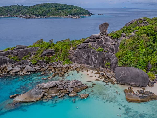 Pic -Similan Islands - Sea Star - New (2) - Best Phuket Travel