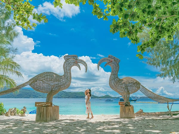 Pic - Nikorn Marine - Coral Island - Best Phuket Travel (4)