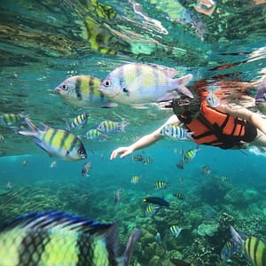 One Day Trip - Phi Phi Cruiser - Best Phuket Travel (5)