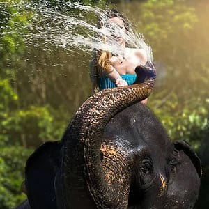 Elephant Bathing 2 - Khaosok Discovery - Best Phuket Travel