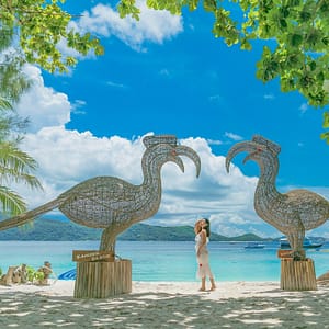 Nikorn Marine - Coral Island - Best Phuket Travel (4)