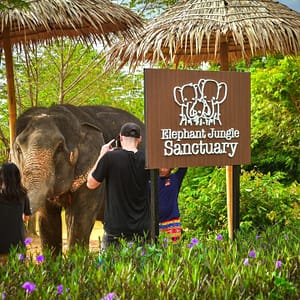 Elephant Jungle Santaury Phuket - Best Phuket Travel (10)