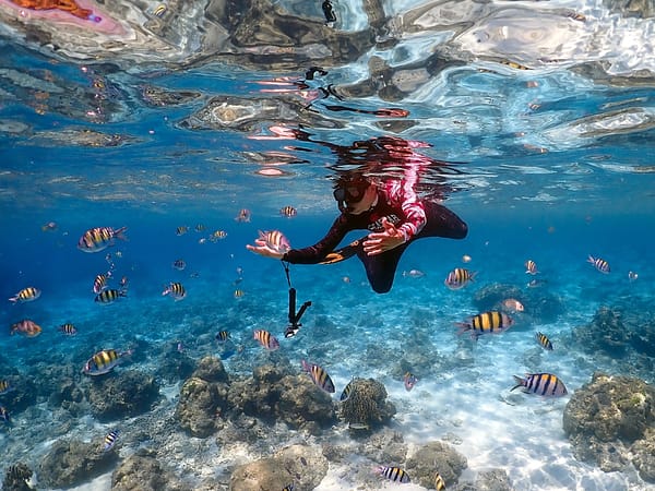 Sea Star - Racha Noi - Racha Yai - Maiton - One Day Trip - Best Phuket Travel (4)