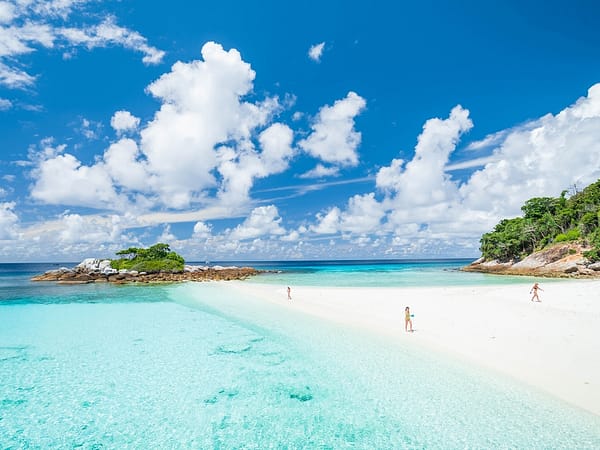 Sea Star - Racha Noi - Racha Yai - Maiton - One Day Trip - Best Phuket Travel (1)