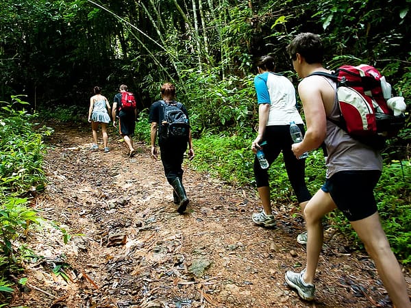 Trekking 3 - Khaosok Discovery - Best Phuket Travel