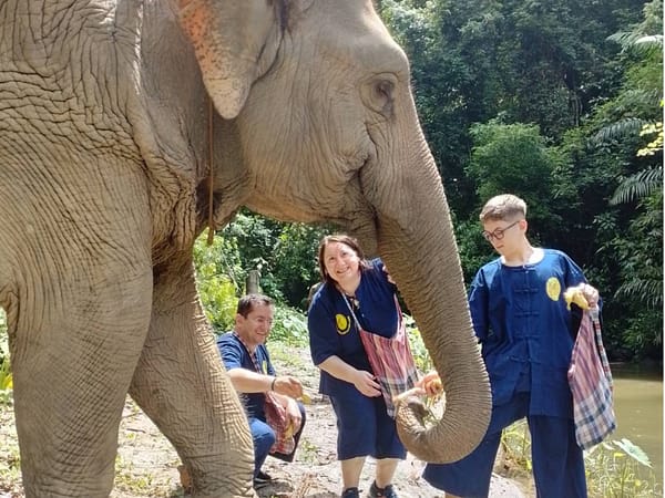 Anda Adventure - Elephant 3 - Best Phuket Travel