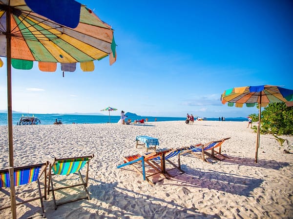 Sea Star - Lazy Phi Phi - Best Phuket Travel (7)