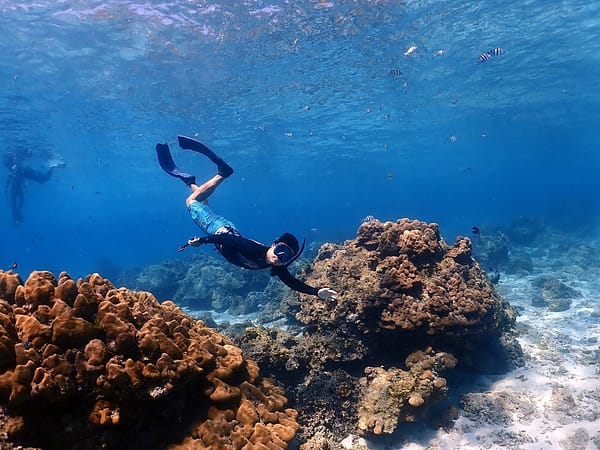 Sea Star - Racha Noi - Racha Yai - Maiton - One Day Trip - Best Phuket Travel (5)