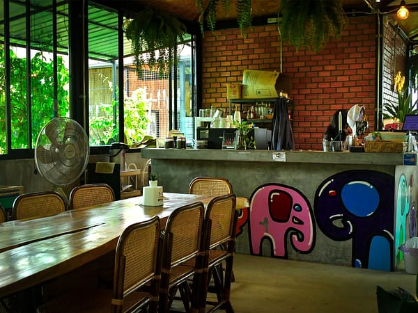 Elephant Jungle Santaury Phuket - Best Phuket Travel (15)