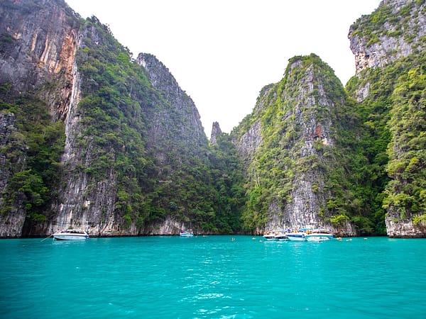 Sea Star - Lazy Phi Phi - Best Phuket Travel (5)