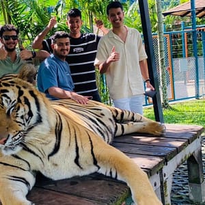 Pic - City Tour - Tiger 4 - Chummy - Best Phuket Travel