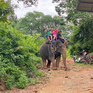 Pic - City Tour - Elephant 1 - Chummy - Best Phuket Travel