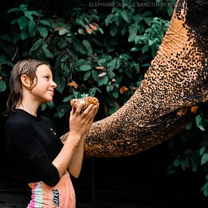 Pic - Elephant Jungle Santaury Phuket - Best Phuket Travel (7)