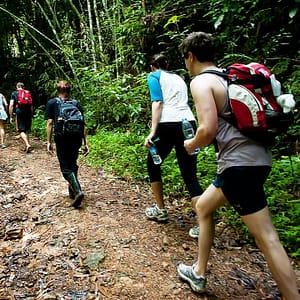 Pic - Trekking 3 - Khaosok Discovery - Best Phuket Travel