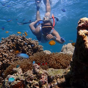 Pic - Surin 2D 1N - Sea Star - Best Phuket Travel (4)