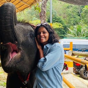 Pic - City Tour - Elephant 2 - Chummy - Best Phuket Travel
