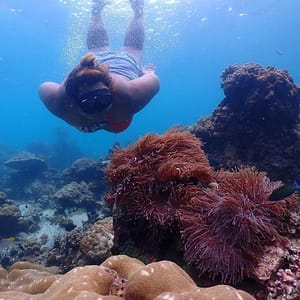 Pic - Sea Star - Lazy Phi Phi - Best Phuket Travel (4)
