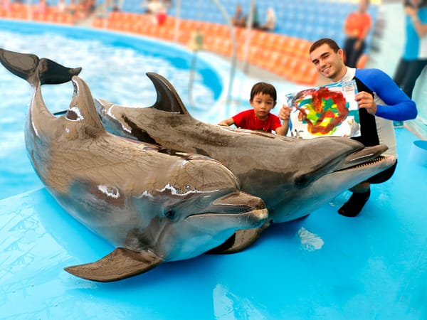 Dolphins Bay Phuket 3 - Best Phuket Travel