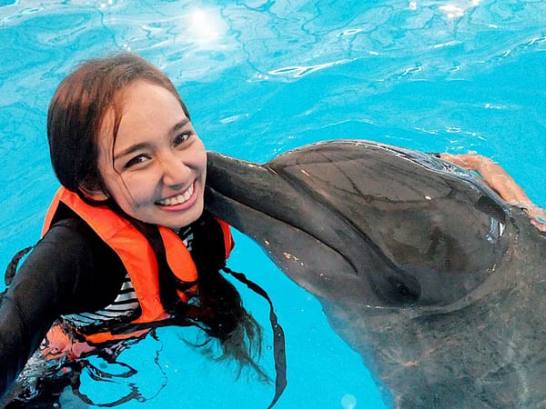Dolphins Bay Phuket 4 - Best Phuket Travel