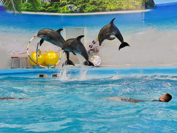 Dolphins Bay Phuket 5 - Best Phuket Travel