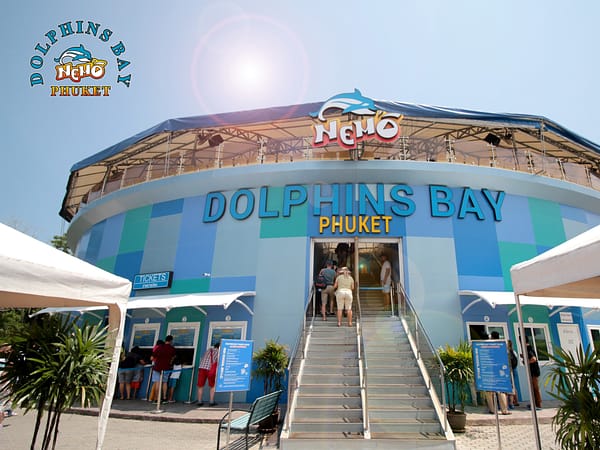 Dolphins Bay Phuket 7 - Best Phuket Travel