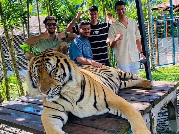 Pic - City Tour - Tiger 4 - Chummy - Best Phuket Travel