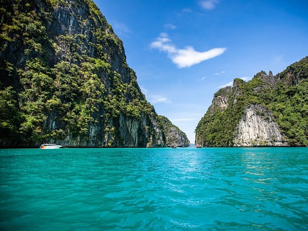 Pic - Sea Star - Phi Phi - Khai - Pileh - One Day Trip - Best Phuket Travel (4)
