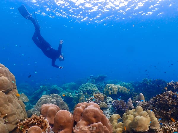 Pic - Surin Day Trip - Sea Star - Best Phuket Travel (6)