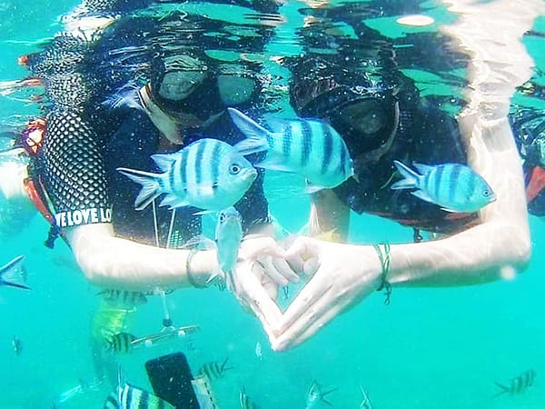 Pic - Ang Thong Marine Park - Ruangsri Travel (3)