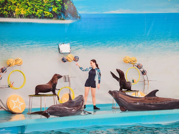 Dolphins Bay Phuket 1 - Best Phuket Travel