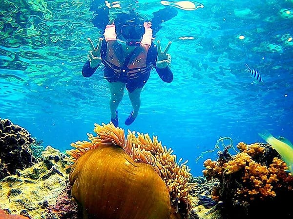Pic - Koh Tao & Koh Nang Yuan - Ruangsri Travel (5)