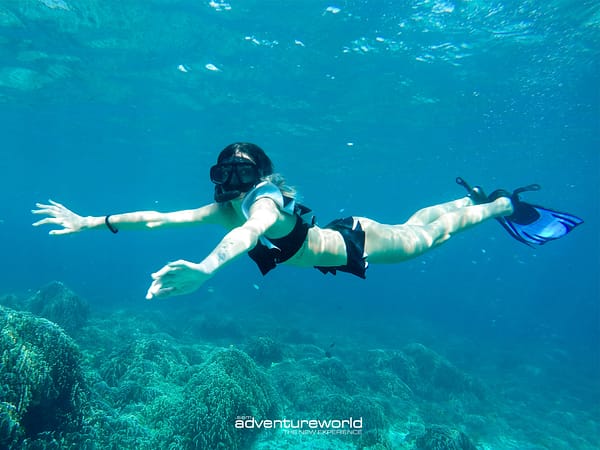 Pic - Similan - Siam Adventure World - Best Phuket Travel 5