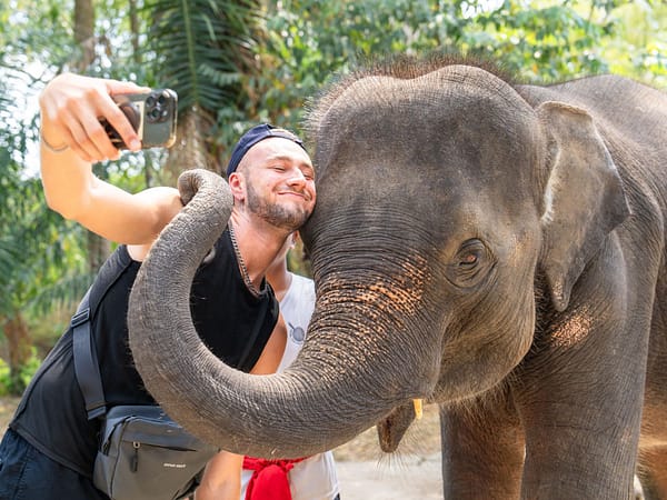 Pic - Avatar Plus - Elephant Show & Spa - Angkor Holiday