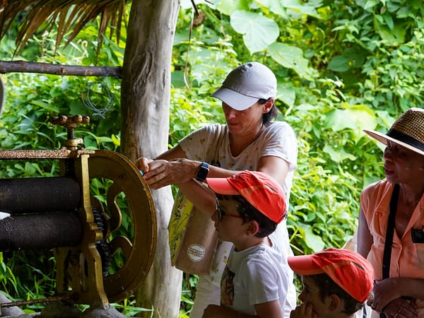 Pic - Rubber Sheet Demo 2 - Bukit Elephant Park - Best Phuket Travel