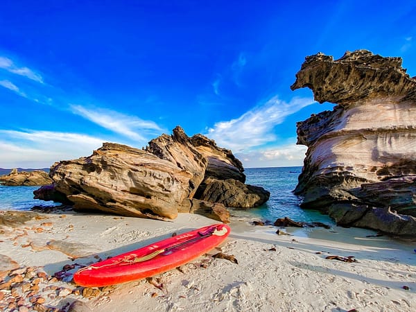 Pic - Sea Star - Phi Phi - Khai - Pileh - One Day Trip - Best Phuket Travel (6)