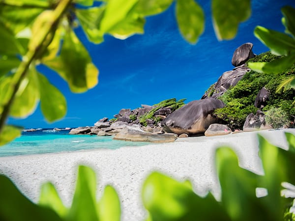 Pic - Similan Day Trip - Wow Andaman - Best Phuket Travel (2)