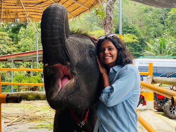 Pic - City Tour - Elephant 2 - Chummy - Best Phuket Travel