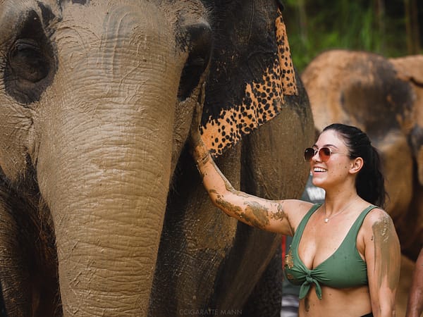 Pic - Elephant Jungle Santaury Phuket - Best Phuket Travel (5)