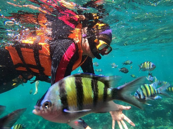 Pic - One Day Trip - Phi Phi Cruiser - Best Phuket Travel (1)