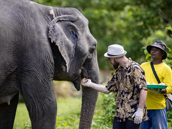 Pic - Rice Ball 3 - Bukit Elephant Park - Best Phuket Travel